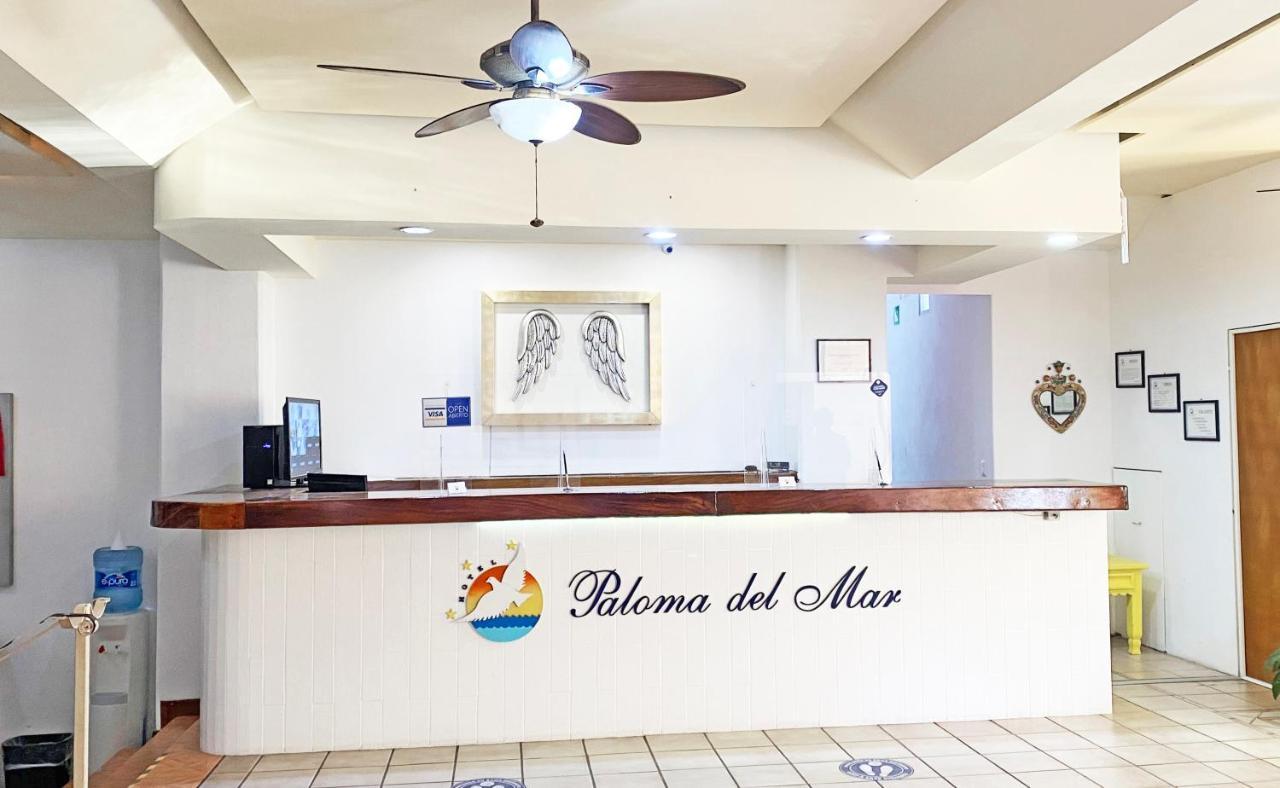 Hotel Paloma Del Mar (Adults Only) Puerto Vallarta Exteriér fotografie